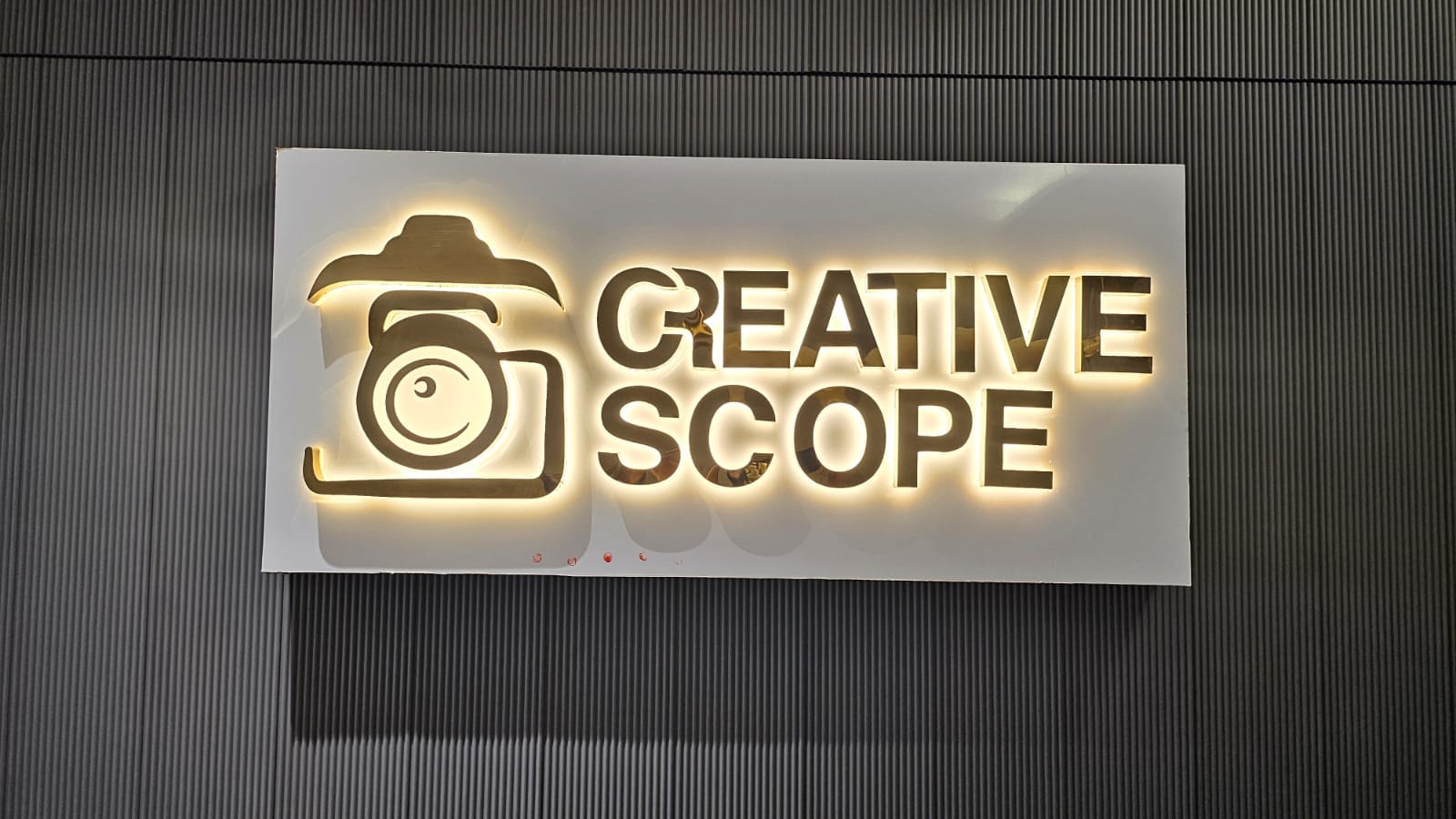 WhatsApp Image 2025-01-25 at 11.36.08